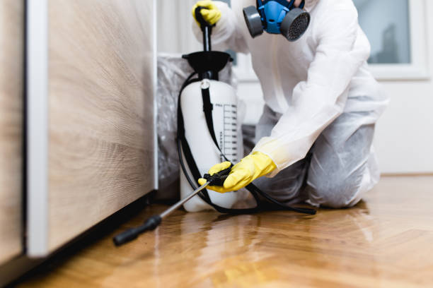 Best Pest Prevention Services  in Ely, NV