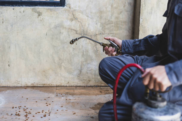 Best Pest Control Cost  in Ely, NV